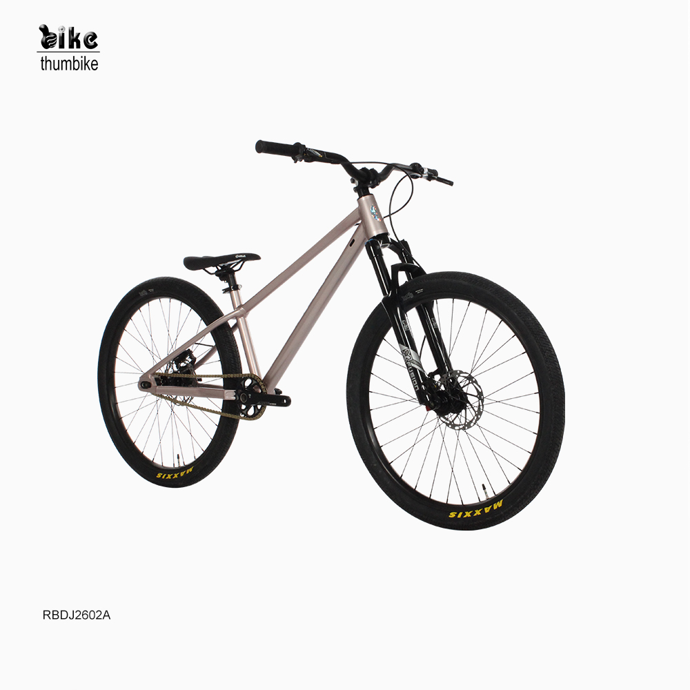Maßgeschneidertes, heiß verkauftes 26-Zoll-Dirt-Jump-BMX-Fahrrad mit hochwertigem Freestyle Cruiser Street Rocker BMX-Fahrrad