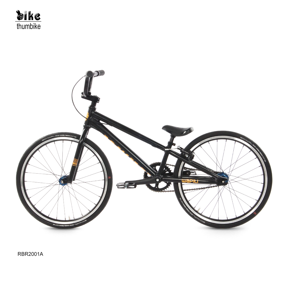 Maßgeschneidertes, heiß verkauftes 20-Zoll-Aluminiumlegierungs-Dirt-Jump-Fahrrad-Mountainbike-Freestyle-BMX-Fahrrad